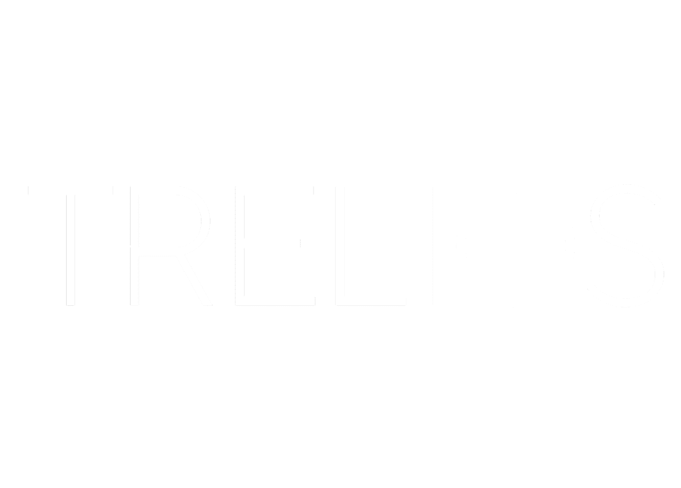 Trelios Agentur für Webdesign Logo in Weiß