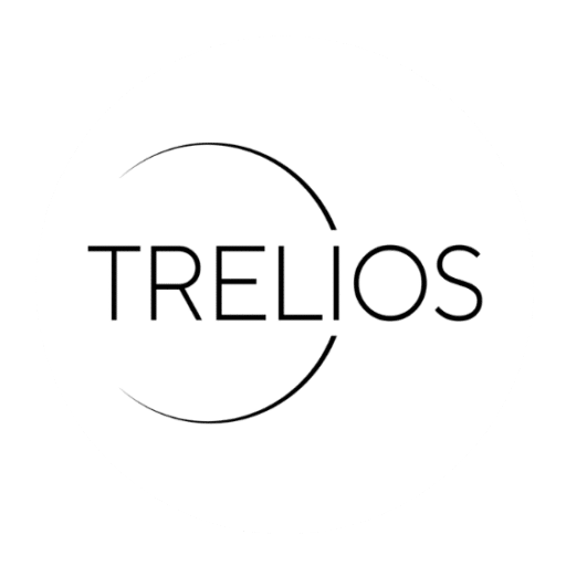 Trelios Google Maps Favicon